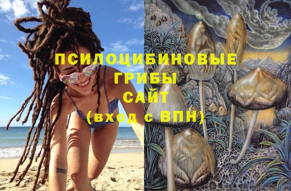 МДПВ Армянск