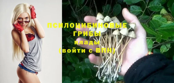 МДПВ Армянск