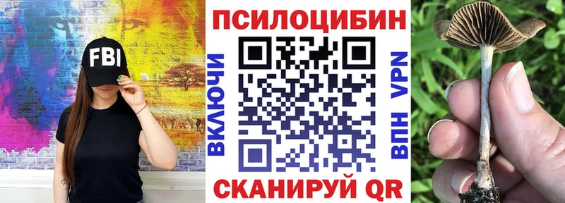 Галлюциногенные грибы мухоморы  hydra сайт  Павловск 